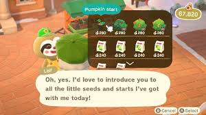 Check spelling or type a new query. When Does Turkey Day Start In Animal Crossing New Horizons Tips Prima Games
