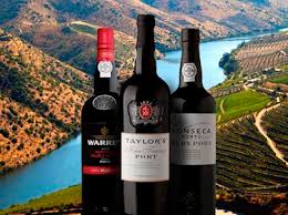 نتیجه جستجوی لغت [wines] در گوگل