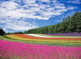 Dreams about flowers are often dreamed of when we are in love and feel overwhelmed with beautiful emotions and happiness. Flowers Dream Meaning And Symbolism Dream Glossary And Dictionary