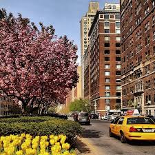 Spring Blossoms Along Park Avenue Upper East Side New York City Spring In New York City New York City