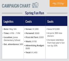 Fundraising Plan Campaign Chart Aly Sterling Philanthropy