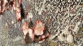 Textiles & Textures: Exploring Form & Flow