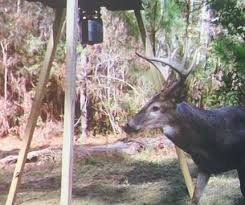 82 Roy Oneal Road, Perkinston, MS 39573