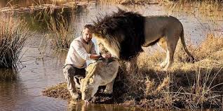 Kevin Richardson South Africa Zaf The Lion Whisperer Antron mccray, kevin richardson, yusef salaam, raymond santana, and korey wise all deserved better and received the absolute worse at the hands of lairs sworn to protect the very people they incriminated! kevin richardson south africa zaf
