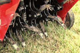 Maybe you would like to learn more about one of these? Your Guide To Lawn Aeration Why When How Lawnstarter