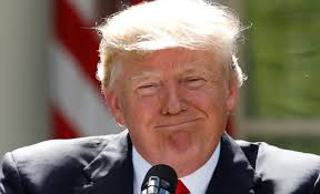 Maybe Donald Trump and Daniel Mahnke are alike. I can see the picture he is  painting by putting We The People in charge and removing us from the UNITED  NATIONS, INC. and