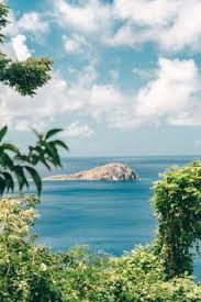 Tourismus im branchenbuch für forst: 40 Karibik Reisen Ideen In 2021 Karibik Reisen Karibik Reisen