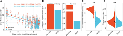 Drag each of the words, graph, table, and equation to a circle. Frontiers Dispersal Limitation Plays Stronger Role In The Community Assembly Of Fungi Relative To Bacteria In Rhizosphere Across The Arable Area Of Medicinal Plant Microbiology