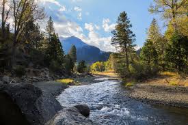 Stanislaus River Kennedy Meadows California Mountains Fall Rivers California California Camping Fly Fishing Sierra Nevada Mountains