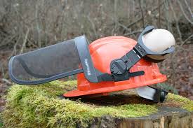 Am teuersten ist die baumfällung, wenn der betrieb die seilklettertechnik anwenden muss, um den. Baumfallgenehmigung Wann Ist Ein Antrag Notig Hausgarten Net