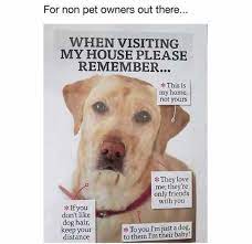 Dopl3r Com Memes For Non Pet Owners Out There When Visiting My House Please Remember This Is My Home Not Yours They Love Me Theyre Only Friends With You If You