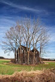 Ruins Among The Trees Maison En Ruine Parmi Les Arbres From De Www Facebook Com Lafrenieredesign Photo Tree Tree Photo