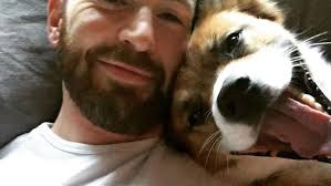 Chris Evans e l'intervista in mezzo ai cani: «Adottate adulti e anziani»