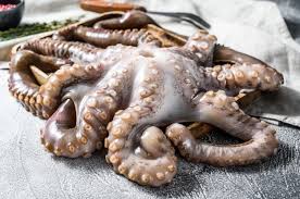 Para cocinarlo a la brasa, es mejor que te separemos las patas. Pulpo Fresco Listo Para Cocinar Mariscos Organicos Vista Superior Foto Premium
