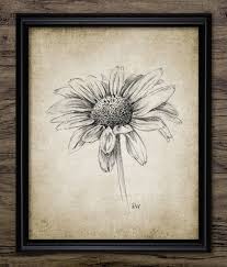 11:21 be creative & art 15 333 просмотра. Disegno A Matita Margherita Disegno A Matita Stampabile Margherita Arte Della Parete Fiore Margherita Fiore Margherita Arte Della Parete Botanica 3386 Download Immediato Vari Disegni