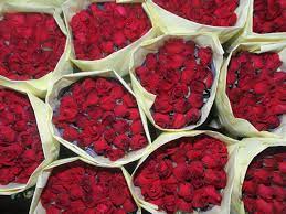 More than 250 million roses. Valentine S Day Flowers Are Bad For The Planet Vox