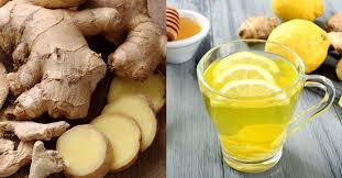 Minum air hangat akan meningkatkan sistem metabolisme tubuh serta membantu memecah jaringan lemak adiposa yang ada di bawah kulit. 5 Kebaikan Halia Yang Perlu Anda Tahu Untuk Kekal Cantik Dan Sihat