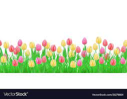 Green Meadow Grass Tulip Flowers Border Frame Template On Isolated Background Spring Summer Sale Template For Re Flower Border Tulips Flowers Flower Clipart