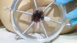 Я попробовал заглянуть внутрь заднего прохода с помощью расширителя