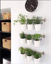 50 Best Indoor Plant Decor Ideas To Elevate Your Home La Belle Society Outdoor Herb Garden Indoor Herb Garden Herb Garden In Kitchen
