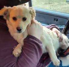 TNN LIVE SHOTS FIRED JONES VILLAGE AREA