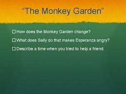 Check spelling or type a new query. House On Mango Street Essential Questions 1 Where