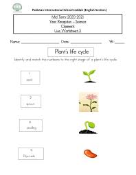 Plant life cycle stages worksheet. Live Worksheet 3 Worksheet