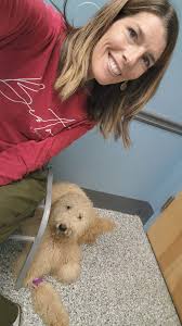 New puppy with jumping and nipping issues