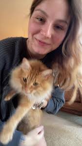 the cat is fine. i promise