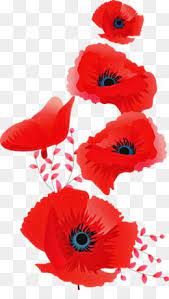 Cleanpng Hd Png Images And Illustrations Free Unlimited Download Cleanpng Kisspng Watercolor Flower Vector Watercolor Flower Background Poppy Art