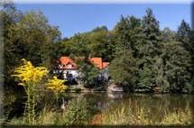 Unsere geschmackvoll gestalteten zimmer bieten ihnen komfort. Urlaub Mit Dem Hund Im Hotel Haus Am See In Schleusingen