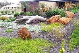 Pin On Native Plants