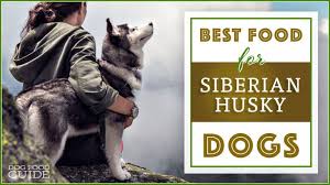 It's hard enough to choose from ten brands, let alone hundreds. 10 Healthiest Best Dog Food For Huskies In 2021 Revealed