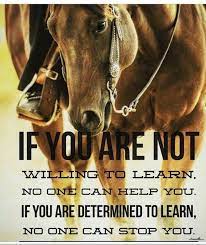 Www Maisonjaccollection Com Fashion Clothing Activewear Shoes Swimwear Shipped Globally To Yo Inspirational Horse Quotes Rodeo Quotes Horse Riding Quotes