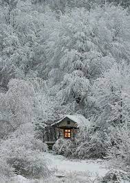 صورة الشتاء الرومانسية كوخ تحت الأشجار المجمدة in 2021 forest house little cabin house