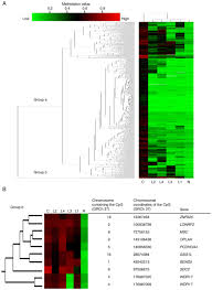 Methylation of CpG island promoters at ZNF625, LONRF2,  SDC2 and WDR17 in a patient with numerous non‑granular  type laterally spreading tumors and colorectal cancer: A case report