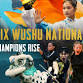 Phoenix Wushu Nationals