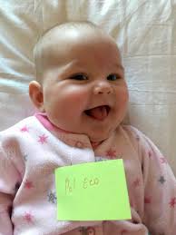 Sherwood Family Nonsense: Elizabeth Update