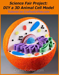 10 Awesome Ways To Make A Cell Model Animal Cell Project Cell Model Project Animal Cell