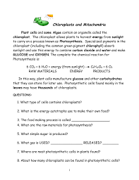 They are covered in small spherical bodies called oxysomes. Chloroplasts And Mitochondria