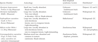 Image result for Afrostyrax kamerunensis