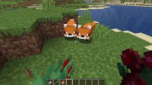Taming a cat in minecraft is pretty simple, but like any other task in the game, it isn't spelled out for you. Minecraft Animal Breeding Guide How To Breed All Animals 2021 Pro Game Guides