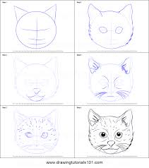 Oh, you do not like. How To Draw A Cat Step By Step For Beginners Learn How To Draw