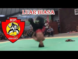 Gambar manusia dibayangi kera, melambangkan bahwa pelajaran ilmu bela diri yang diajarkan kepada semua anggota perguruan iks.pi kera sakti adalah menggunakan jurus atau gerakan silat aliran kera. Salto Ikspi Kera Sakti Luar Biasa Latihan Youtube