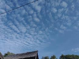 Meski awan semalam hitam tak bermakna bahkan pepohonan berbisik2 tuk beranjak pergi tetapi. Awali Pagi Dengan Rasa Syukur Semoga Hari Ini Lebih Baik Dari Kemarin Steemit