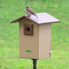 Duncraft Com Bird Safe Premium Bluebird House Pole