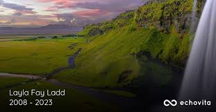 Layla Fay Ladd Obituary (2008