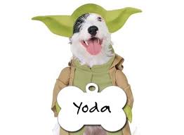 Having trouble naming him/her below are a few halloween inspired pet names, to help you name your new pet this month. Nerdy Dog Names 185 Awesome Names For Your Pup Infographic