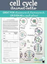We did not find results for: Cell Cycle Mitosis Reading And Coloring Activity Or Homework By Biology Roots