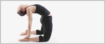 Ustrasana Benefits Full Camel Pose